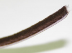 Шлегель самоклеящийся SМ 7х6 mm, коричневый 